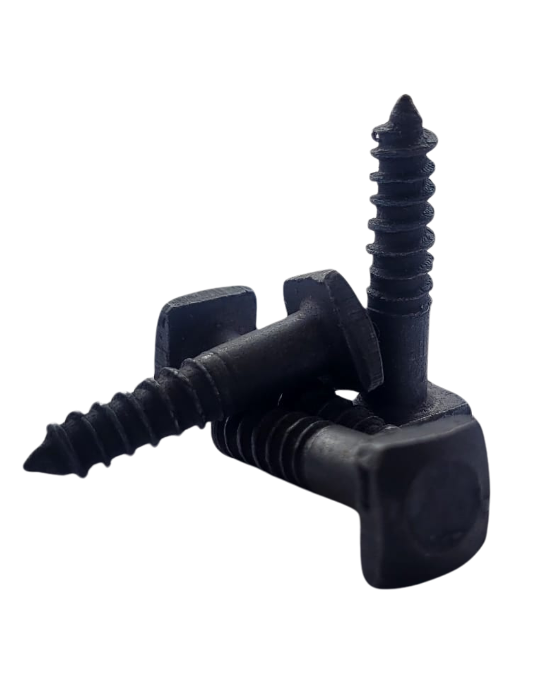 Coach Screw